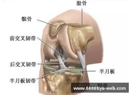 球员韧带受伤：预防、治疗与康复策略